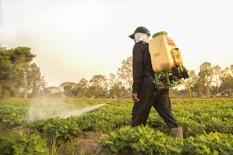 What Is A Pesticide? - Dell Tech