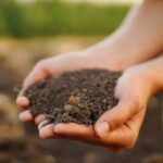 fertilizer regulations canada