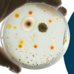 New Biocide Regulations Published What You Need to Know