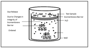 dermal irritection model