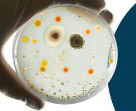 New Biocide Regulations Published: What You Need to Know